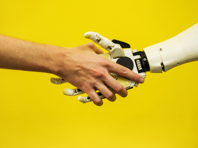 Will AI Steal Your Job? Addressing the Automation Anxiety