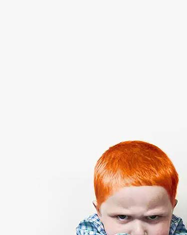 ginger_ai_2